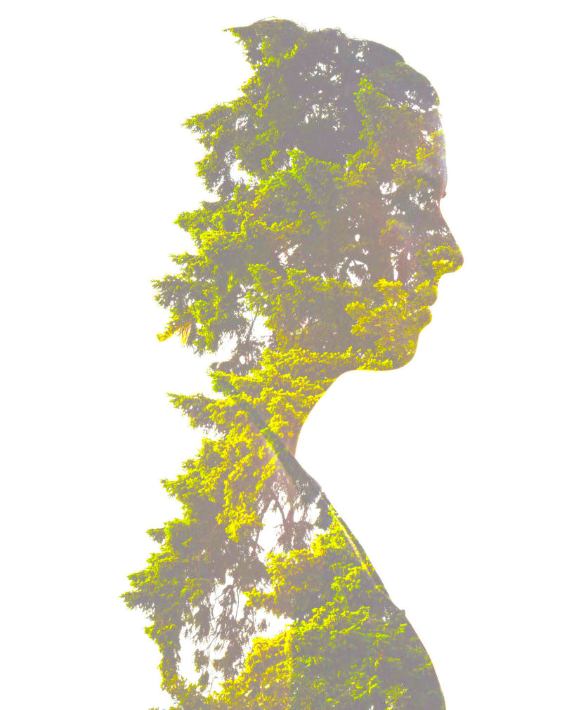 Why Does CBD Work So Well?