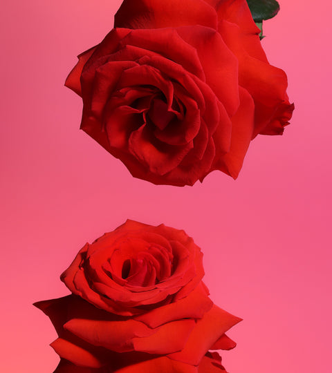 5 Feelings to Gift This Valentine's Day