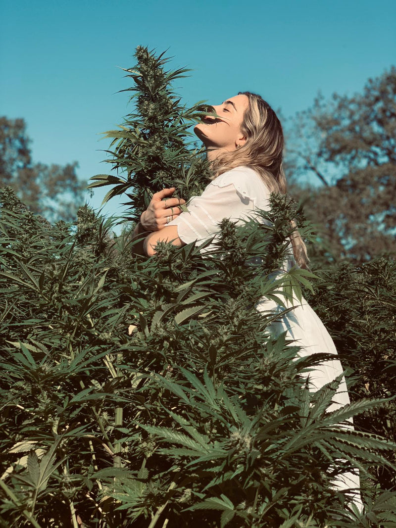 Periods, Cannabis and Endometriosis: Chelsea's Story