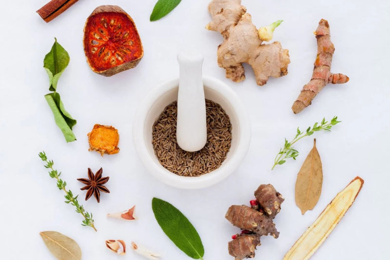 Adaptogens 101
