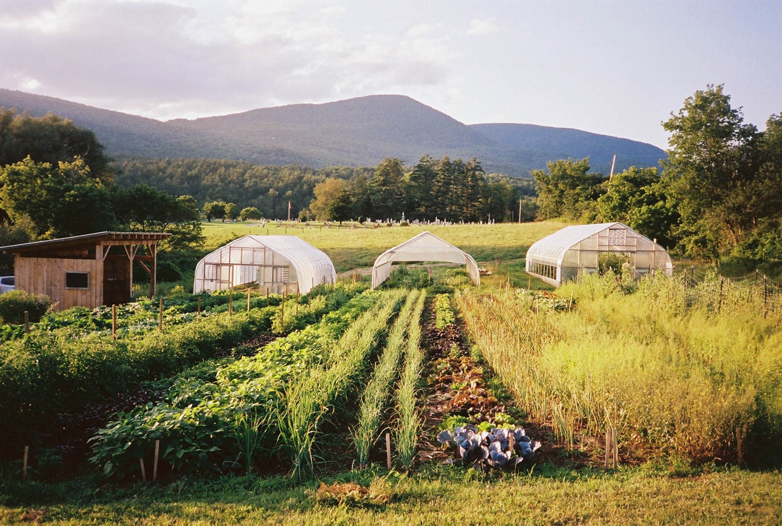 How Regenerative Agriculture Can Save the Planet | A Conversation with Kiss The Ground's Karen Rodriguez on Soil Health