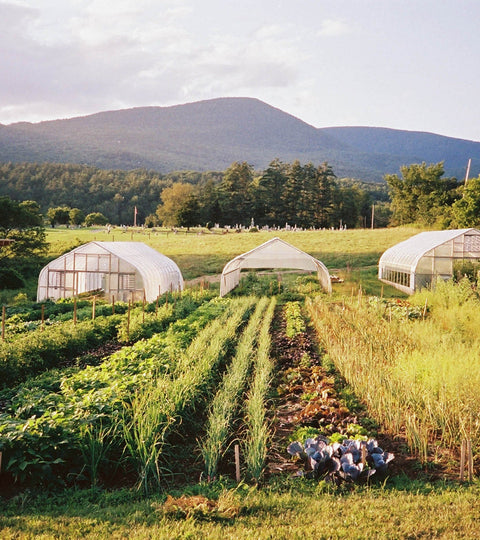 How Regenerative Agriculture Can Save the Planet | A Conversation with Kiss The Ground's Karen Rodriguez on Soil Health