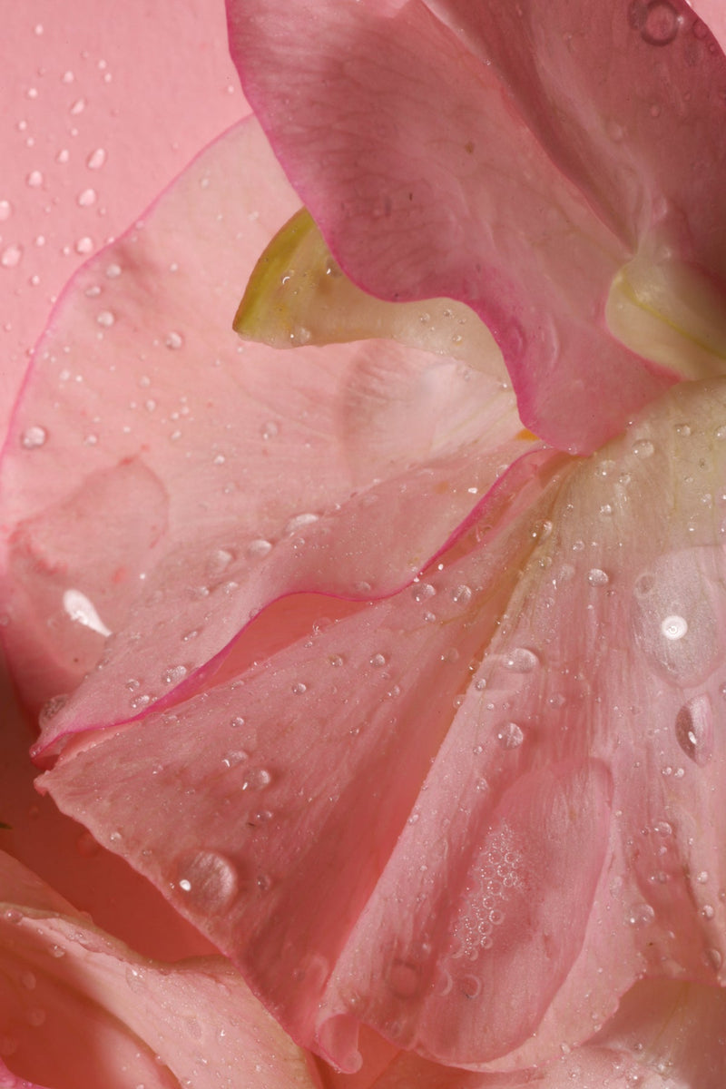 Vaginal Dryness: Causes and Remedies