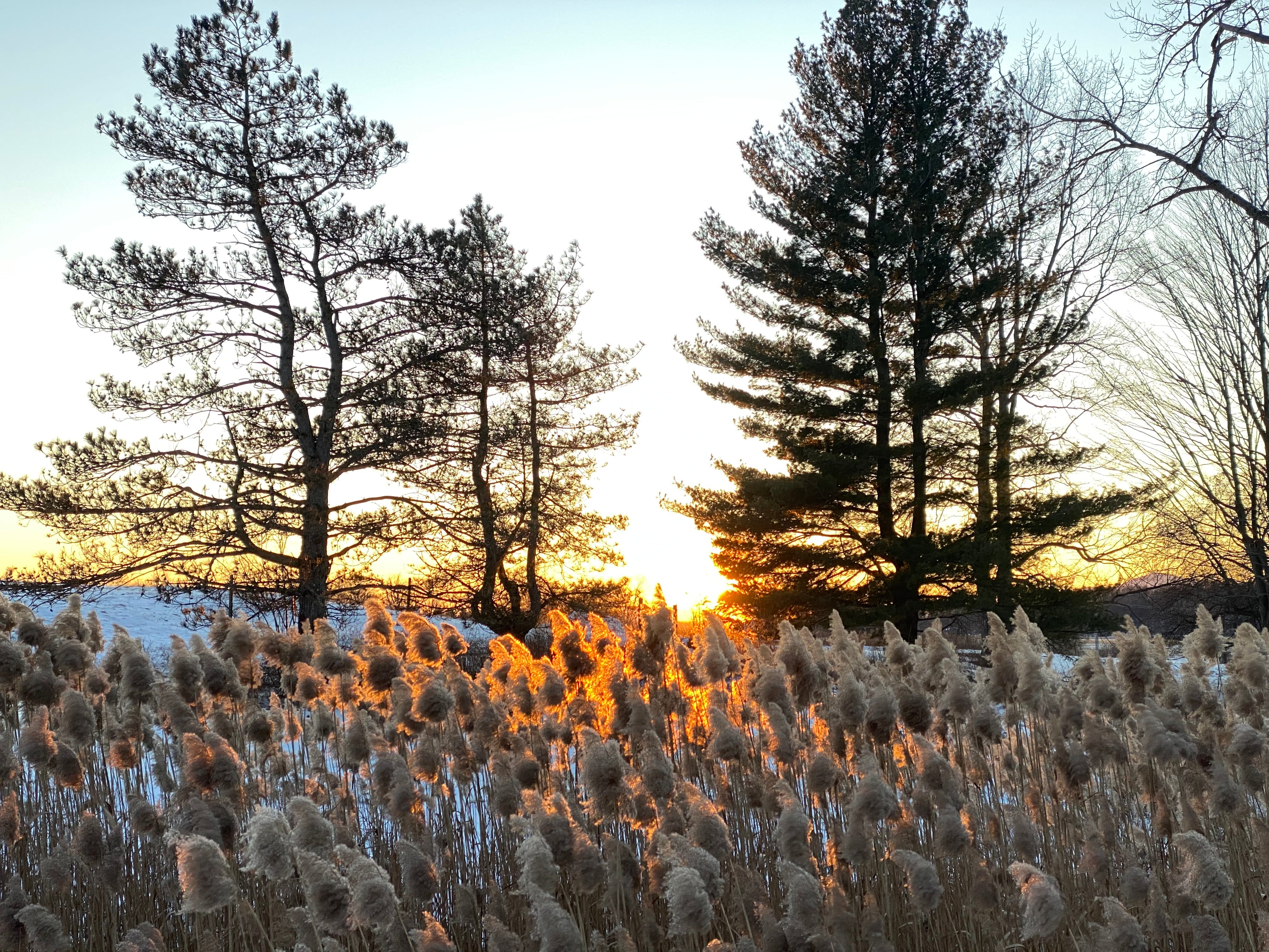 Hudson Hemp: Earth Wise