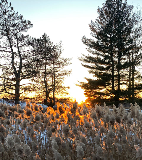 Hudson Hemp: Earth Wise