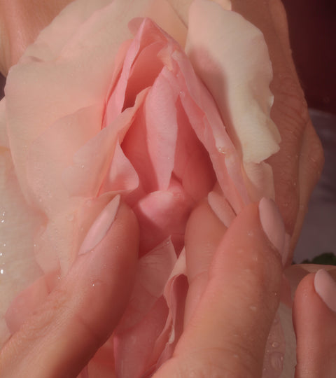 Masturbation May: Since You Asked