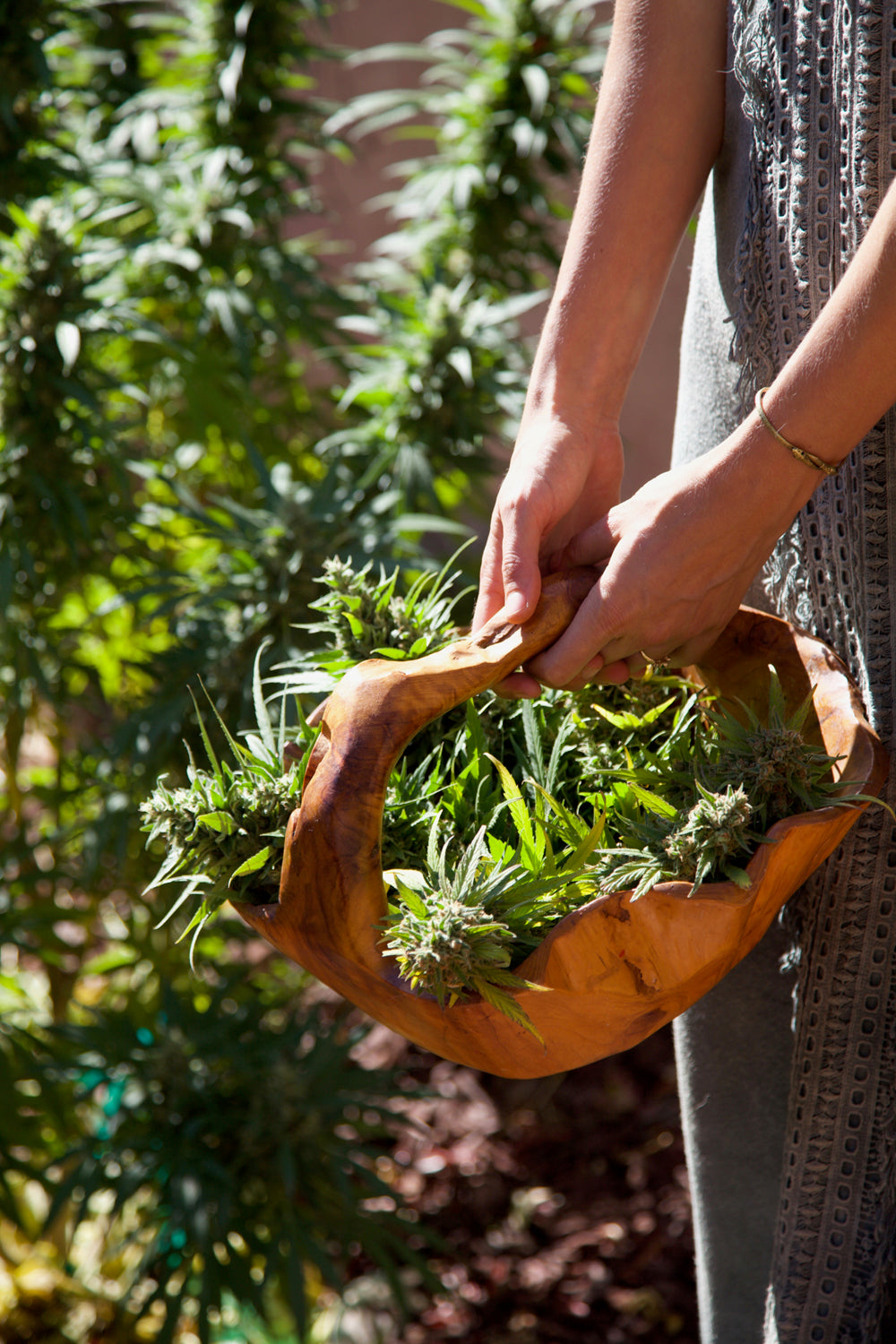 Myths and Facts: 8 Misconceptions about CBD Oil