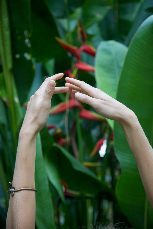 Hemp And Your Hormones