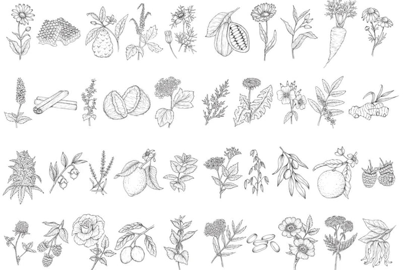 Botanical Glossary