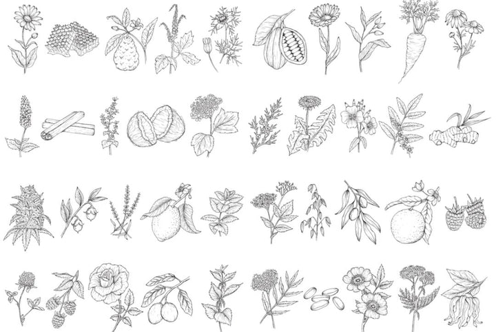 Botanical Glossary