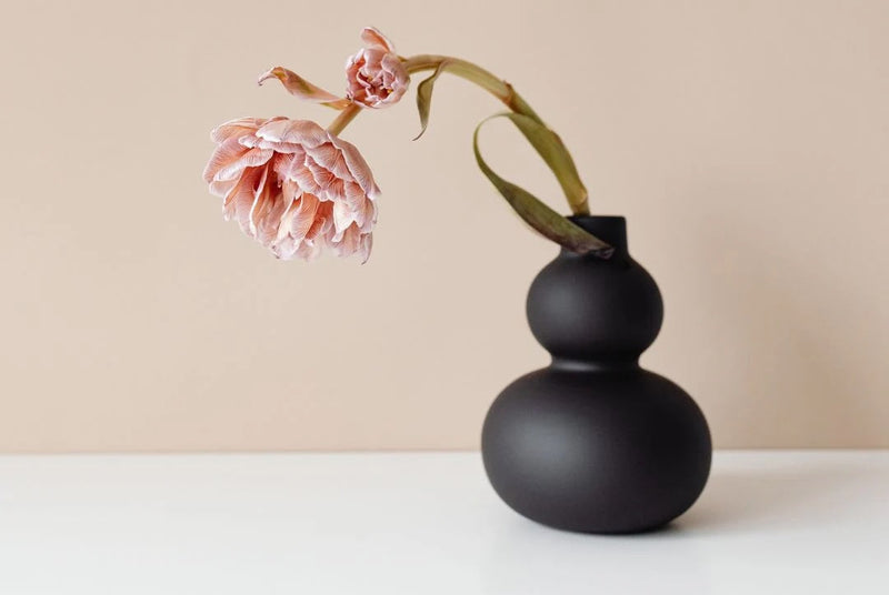 Are You Aging Too Fast?