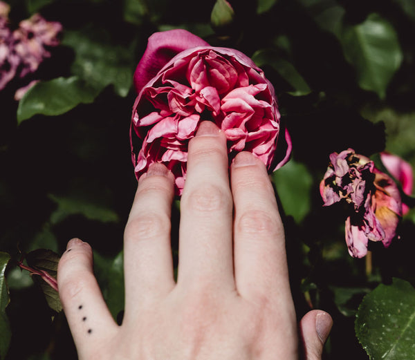 Vulva Mapping: An Experiential Guide to the Universe between Your Legs