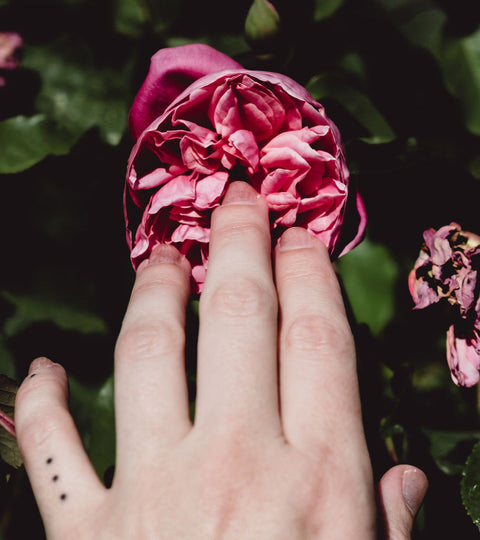 Vulva Mapping: An Experiential Guide to the Universe between Your Legs