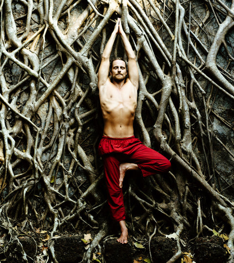 Balancing (and Imbalancing) Your Endocannabinoid System