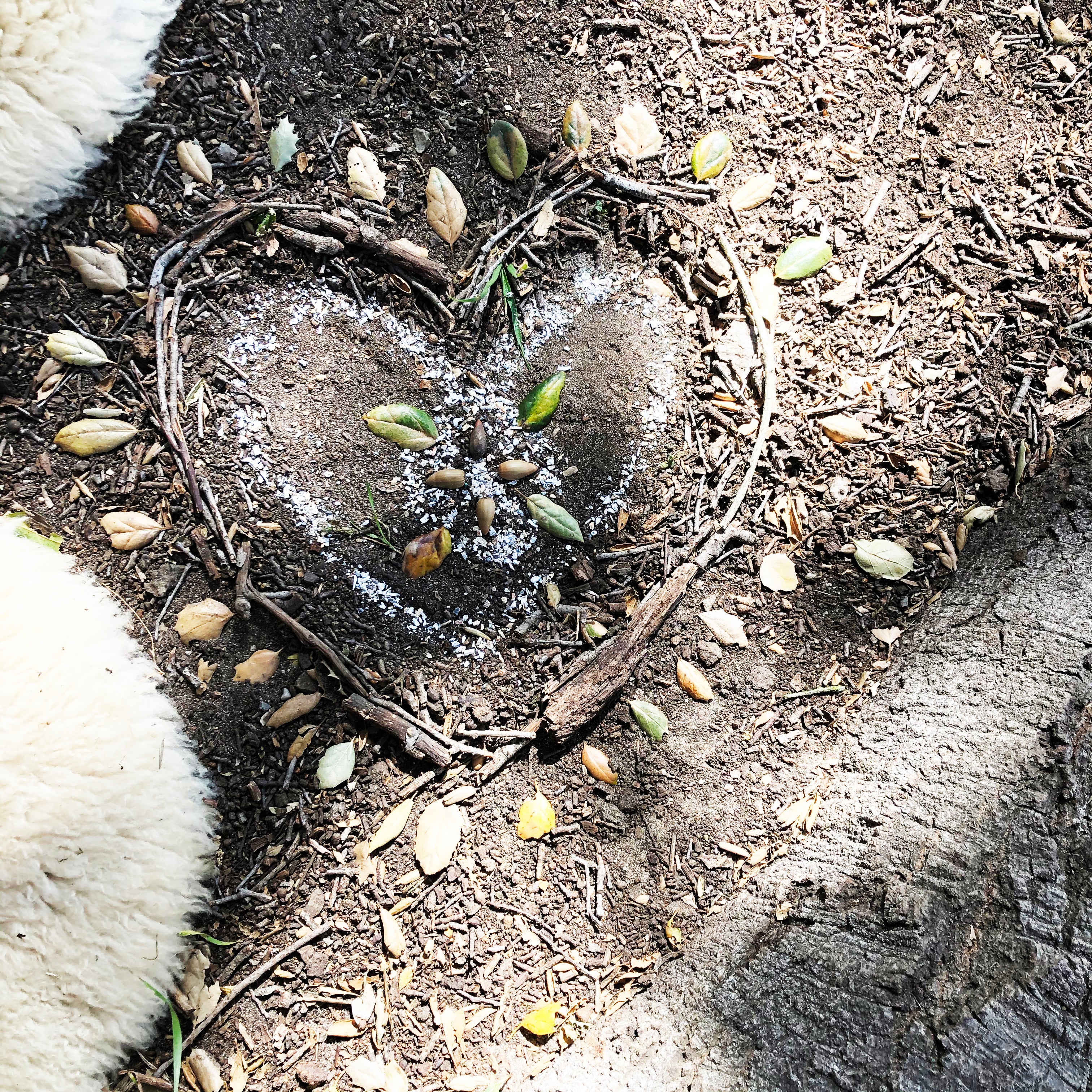 When the Heart Aches: On Grief and Loss