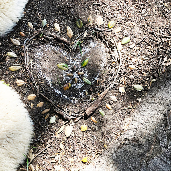 When the Heart Aches: On Grief and Loss
