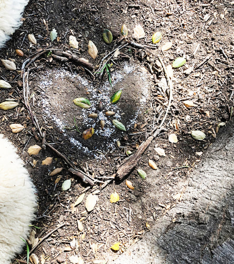 When the Heart Aches: On Grief and Loss