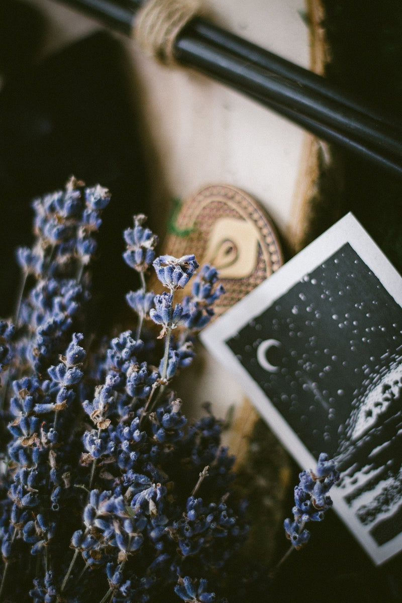 A Witch's Guide To Making A Difference