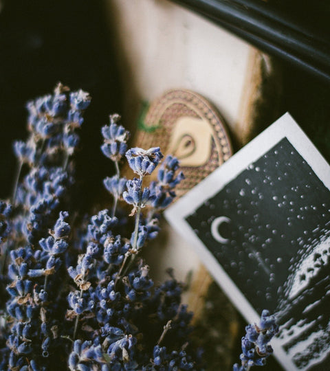 A Witch's Guide To Making A Difference
