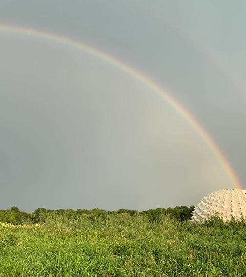 Our New Lower Prices: What They Mean for You – and the Planet