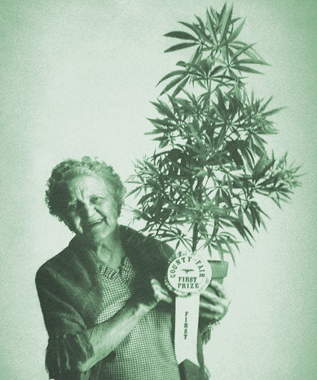 Sex Therapists Talk Aging, Sex & Cannabis