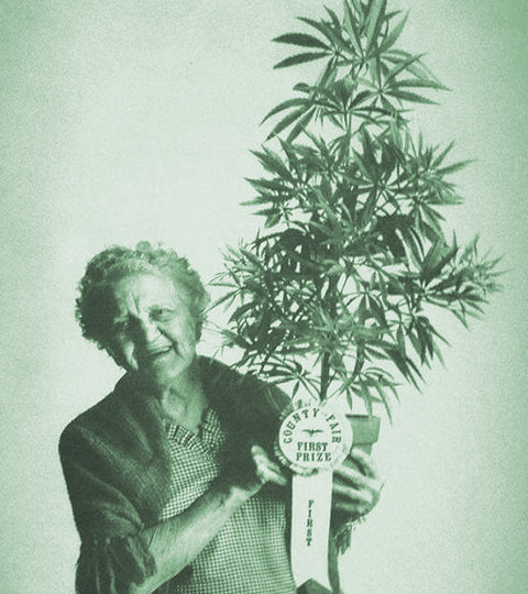 Sex Therapists Talk Aging, Sex & Cannabis