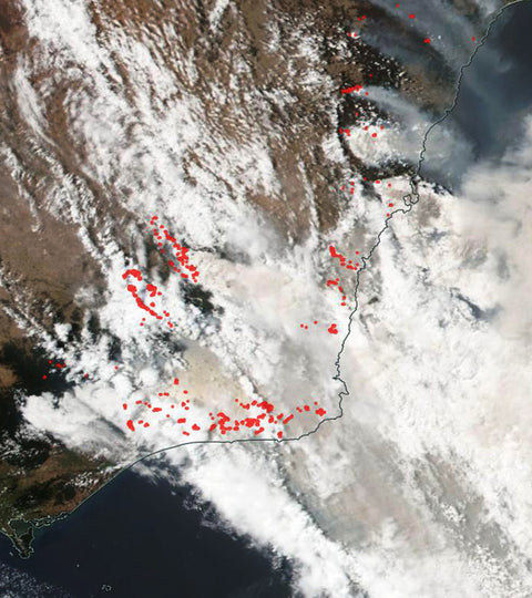 Australia's Bushfires: How To Help