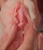 Vulva flower with fingers