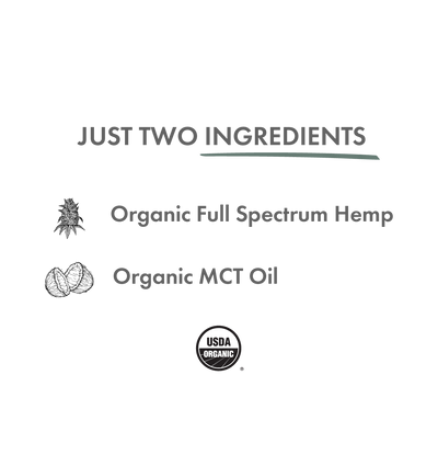 Daily Blend